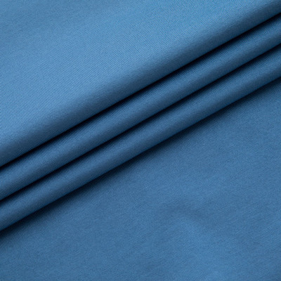 【18秋冬新款】VERRI/VERRI植絨工藝圖案,栩栩生動,圖案效果飽滿的藍(lán)色棉質(zhì)圓領(lǐng)修身款長袖T恤-男士長袖T恤