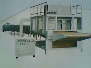 蒼南縣華彩植絨廠 專業(yè)工藝植絨的卓越實踐